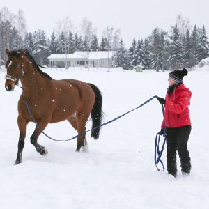 Verkkoluento 3.2. klo 18-20: Palkkioilla liinassa